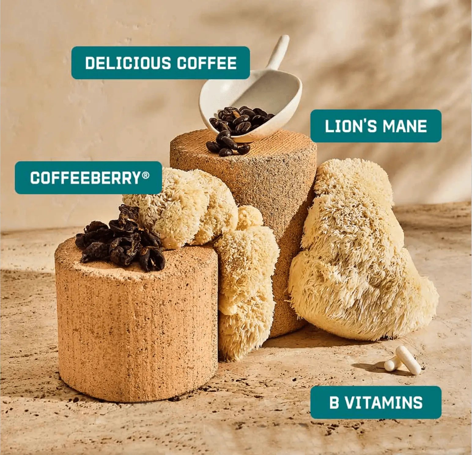 The High Achiever™ coffee with B Vitamins and Lion’s Mane enhance your mornings for high performance.