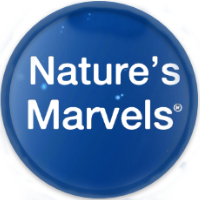 Nature's Marvels