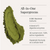 Nature's Living Superfood, Organic - Powder 300g